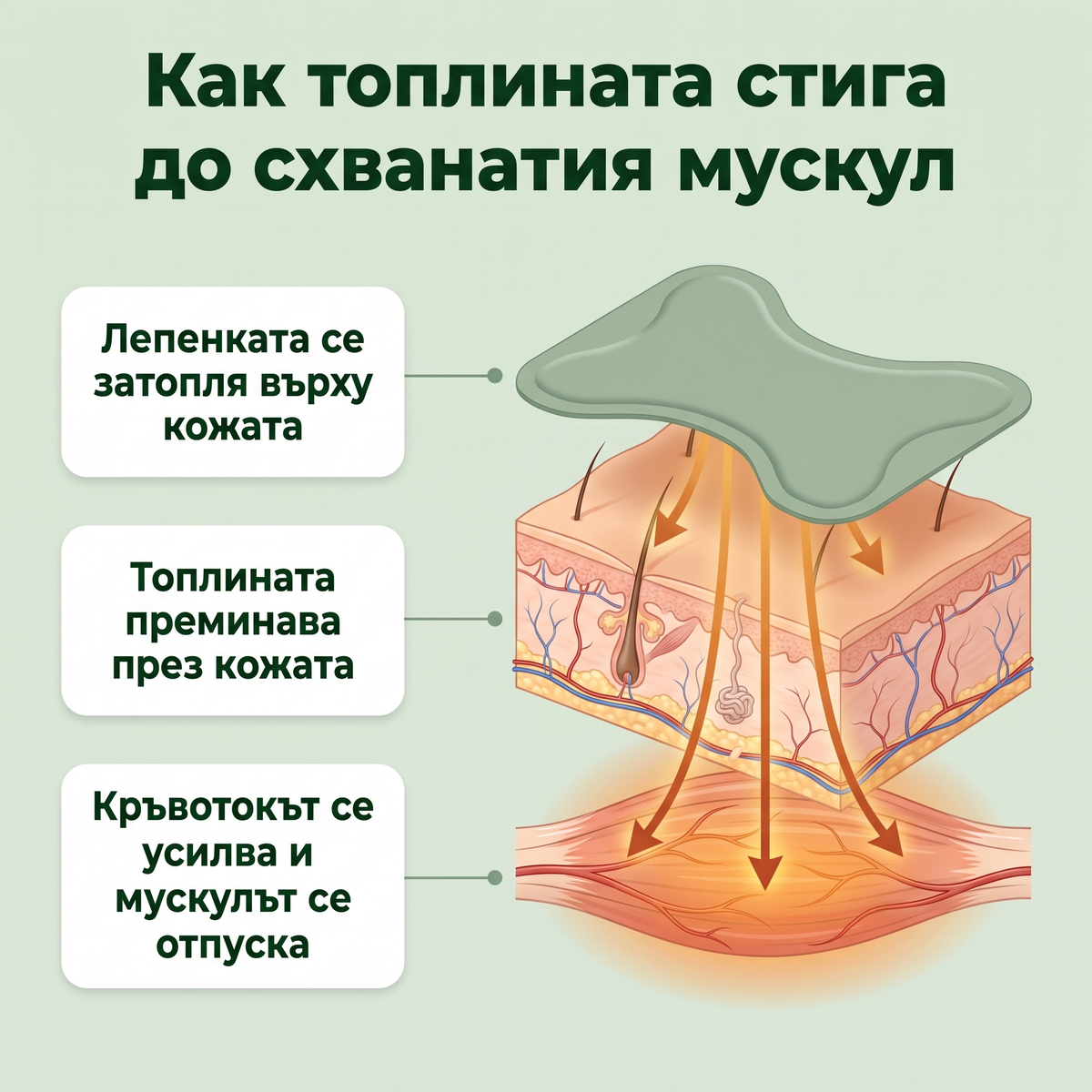 №1 Професионални самозагряващи пластири за болки в кръста и ставите